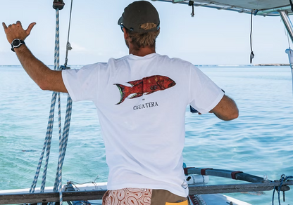 T-Shirt Ciguatera