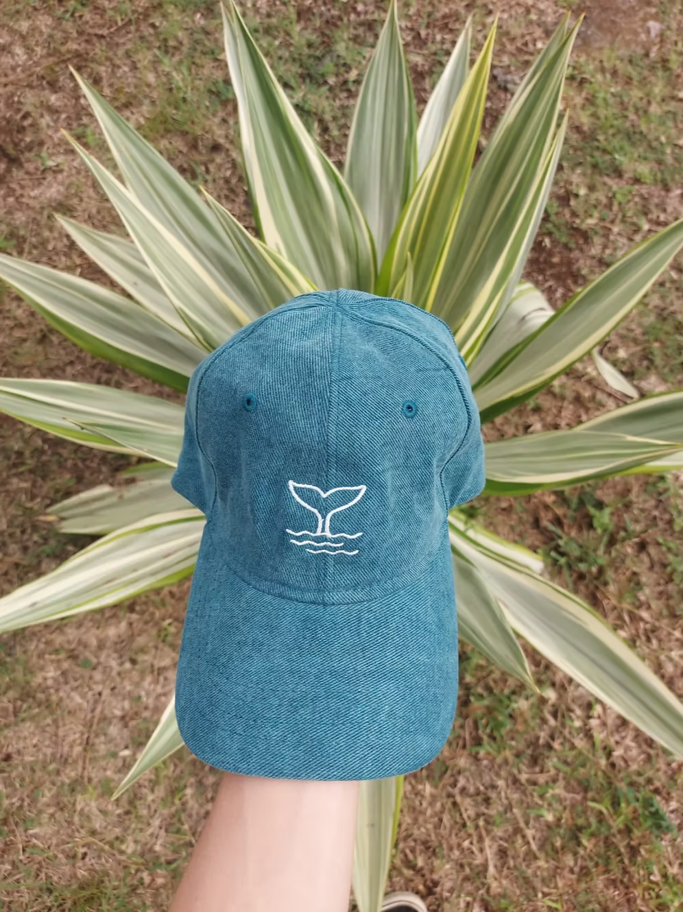Cap Willy Embroidery - shopify | Down South Surf Shop Mauritius